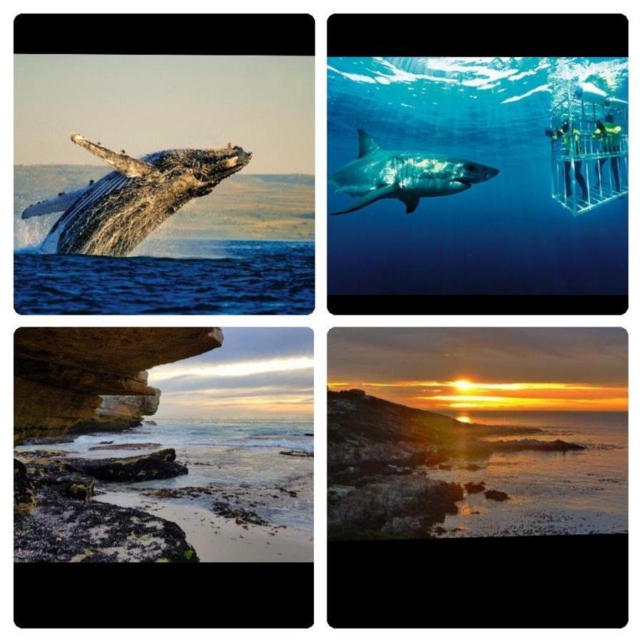 Shark Cove Little Cottage Kleinbaai Экстерьер фото